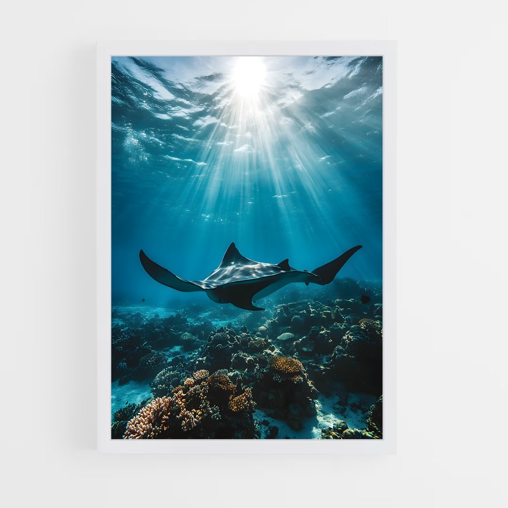 Poster Maldives diving – affiche Plongée sous-marine (vue 3)